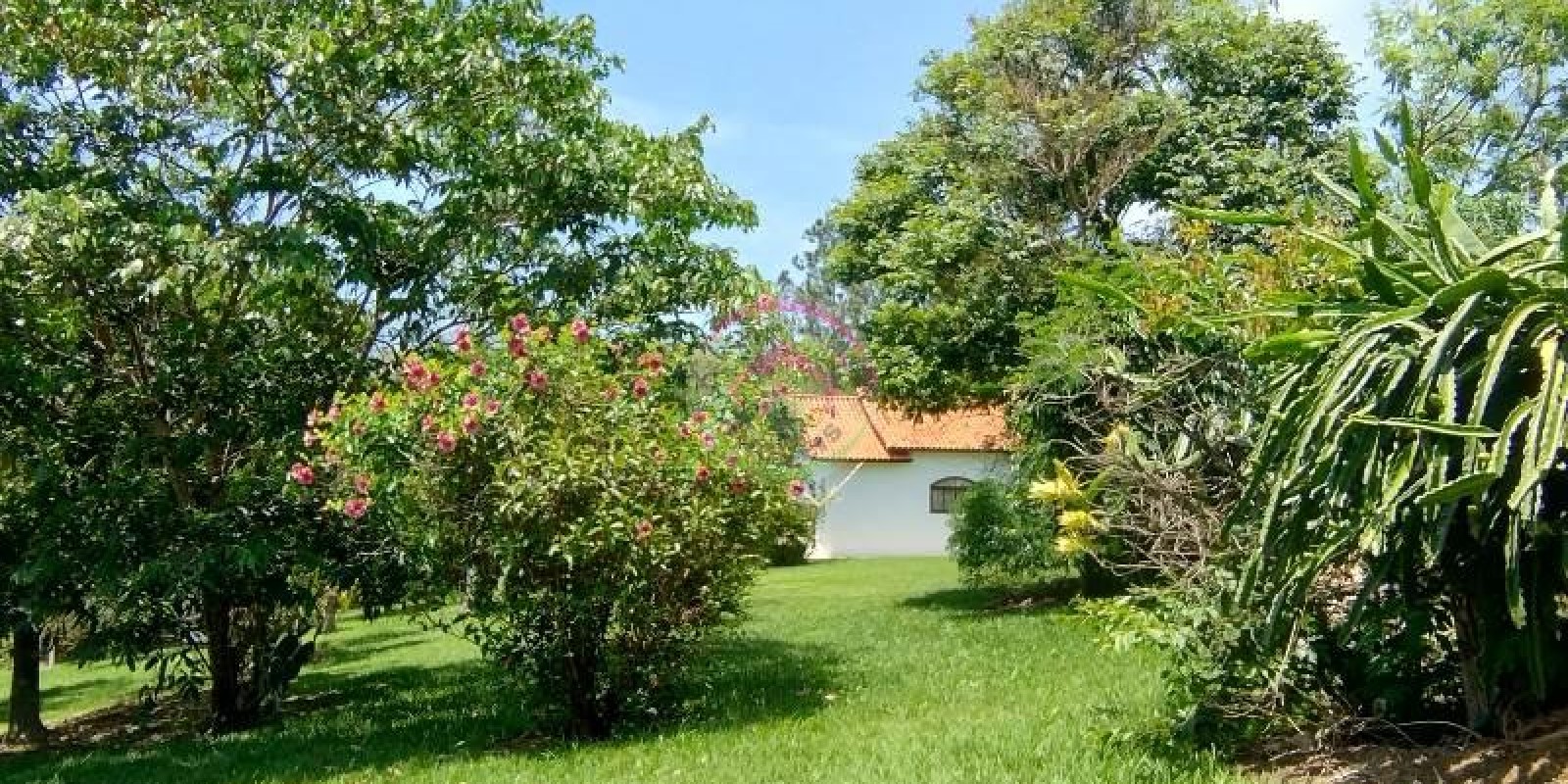 Chácara a Venda em Bofete  SP - Foto 10 de 15