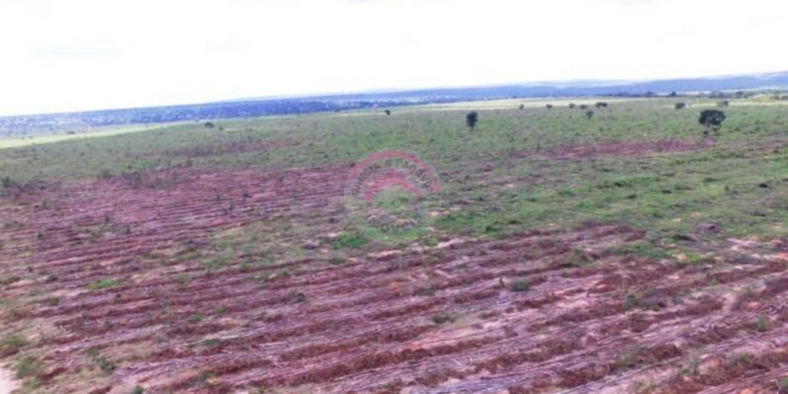 Fazenda 2.550/has Município de João Pinheiro MG - Foto 2 de 6