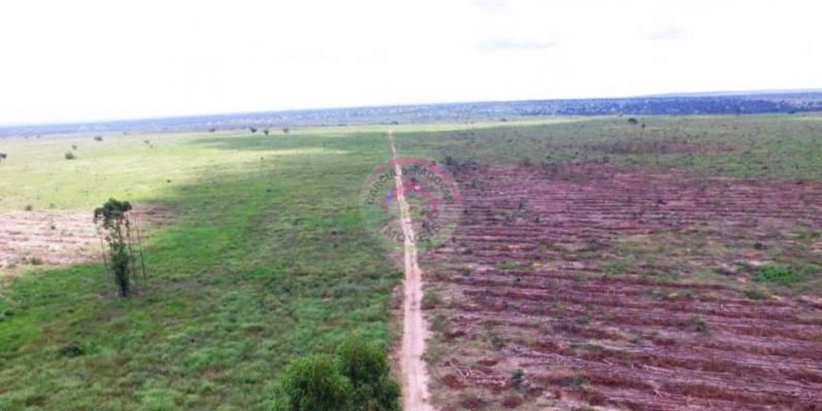 Fazenda 2.550/has Município de João Pinheiro MG - Foto 3 de 6