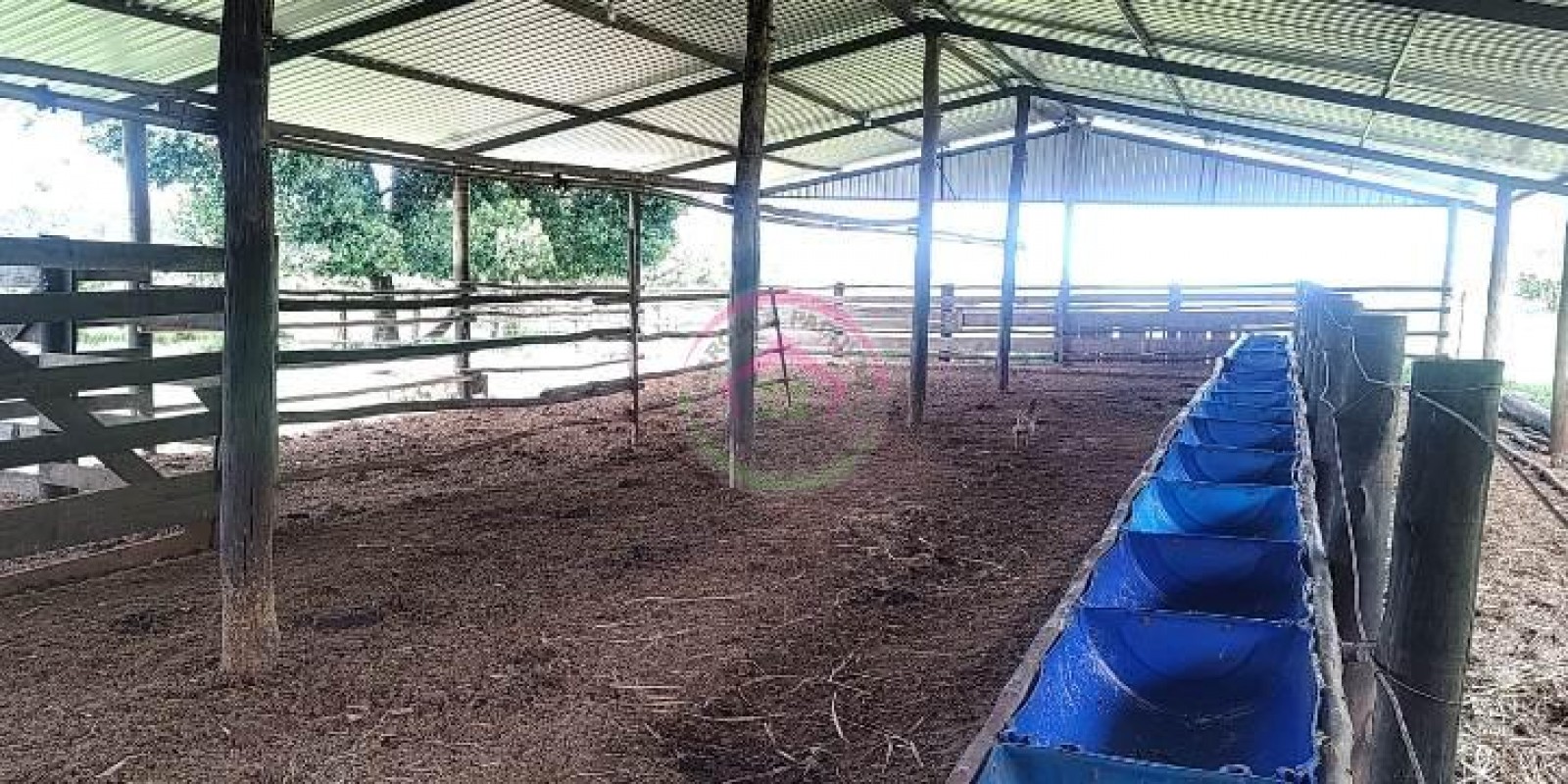 Vende Sítio 6.9 alqueires em São Manuel SP - Foto 17 de 21