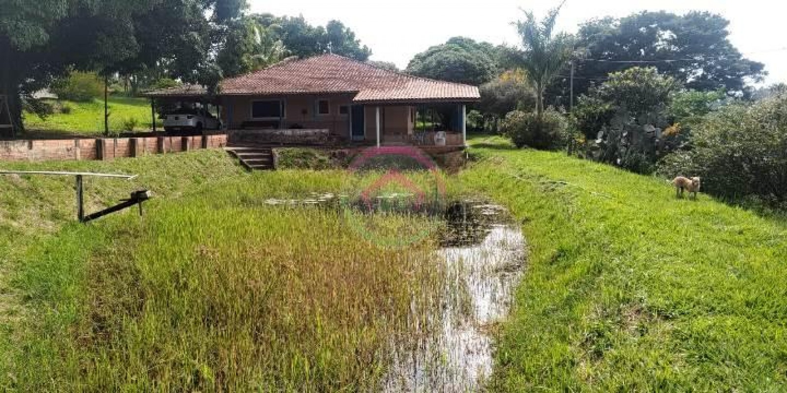 Vende Sítio 6.9 alqueires em São Manuel SP - Foto 21 de 21
