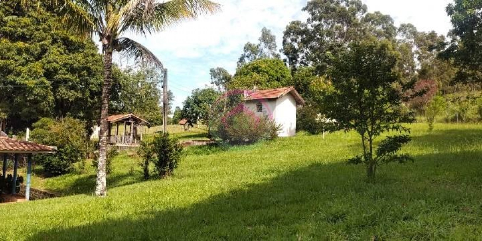 Vende Sítio 6.9 alqueires em São Manuel SP - Foto 5 de 21