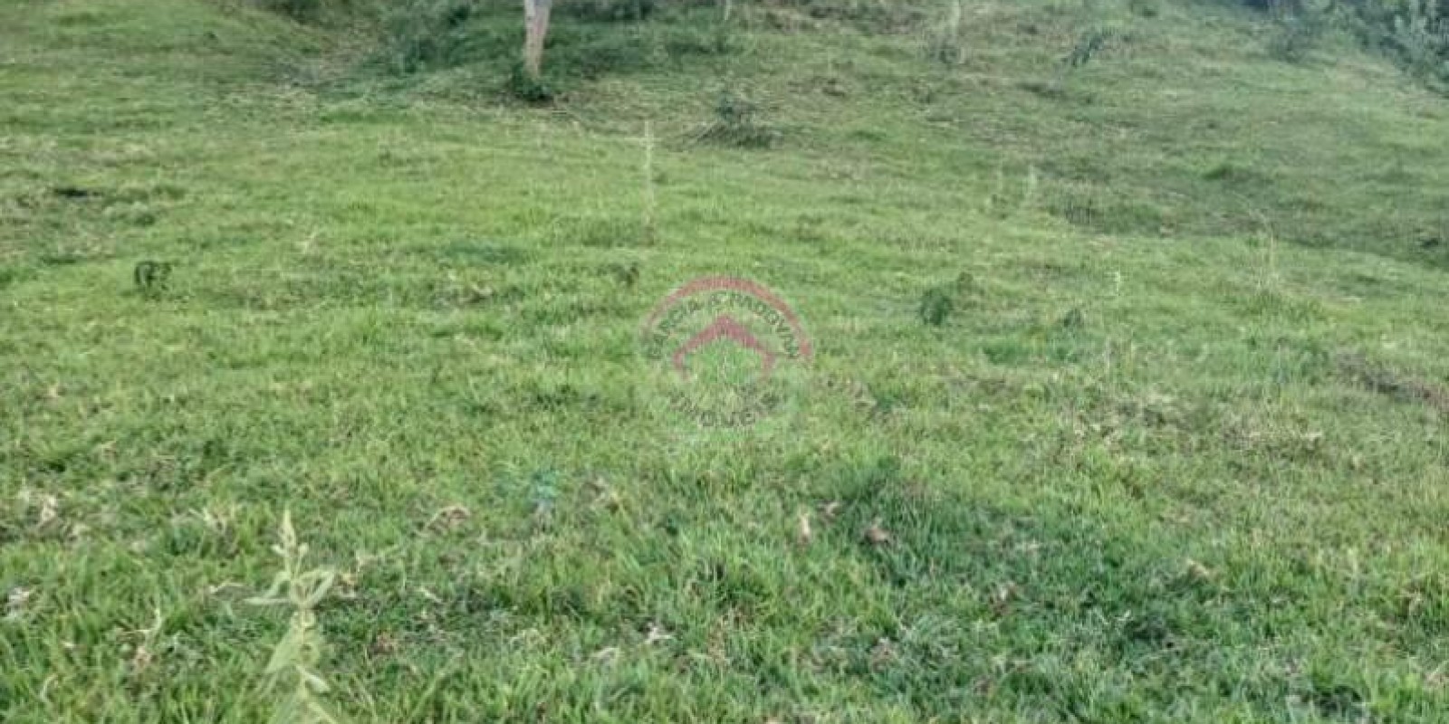 O Refúgio Perfeito para quem ama a Natureza - Botucatu SP - Foto 6 de 13