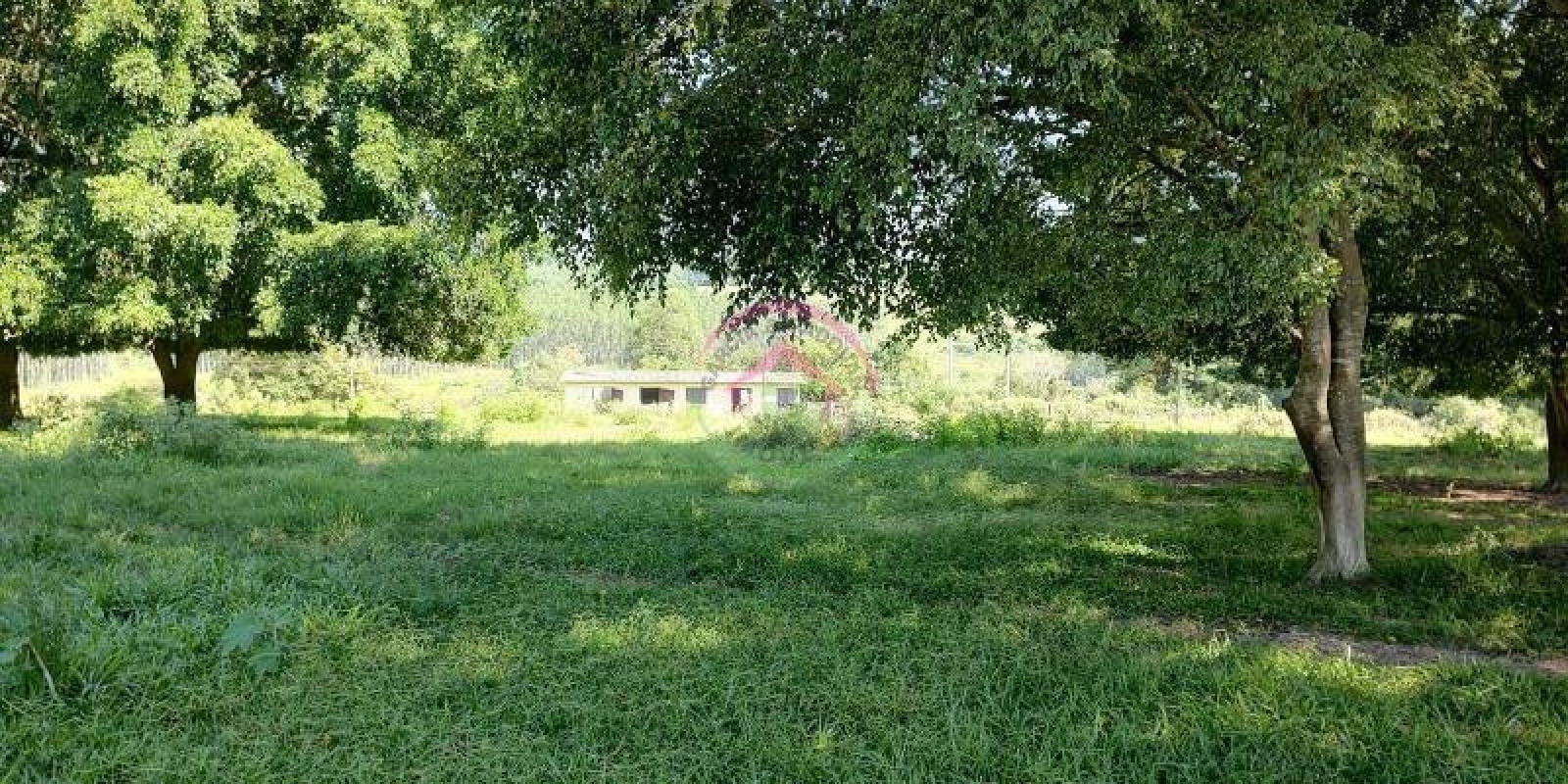 Chácara à Venda na Área Rural de Bofete SP - Foto 5 de 20