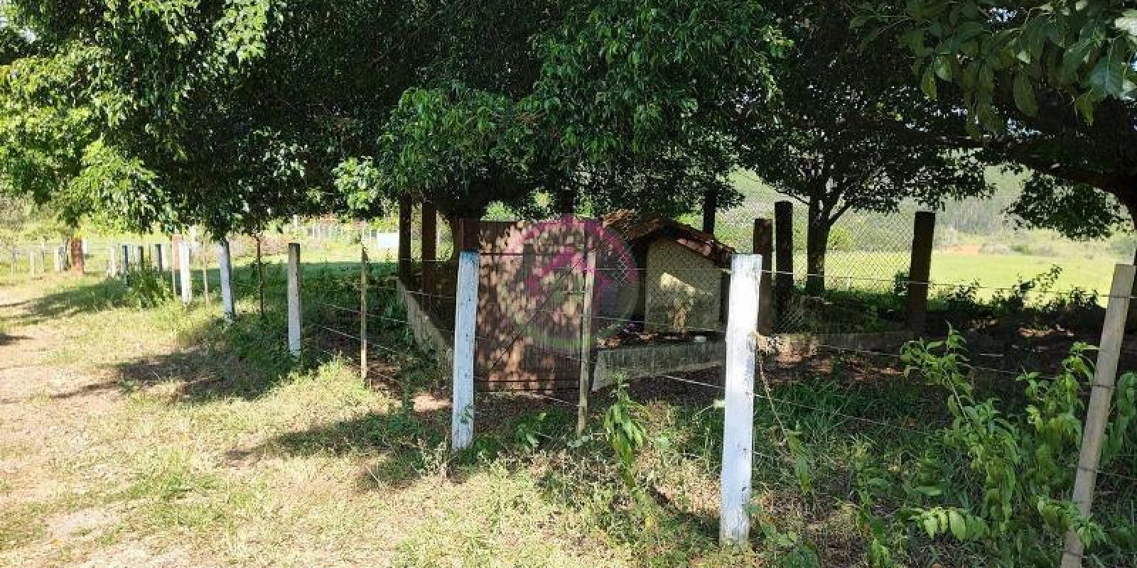 Chácara à Venda na Área Rural de Bofete SP - Foto 6 de 20
