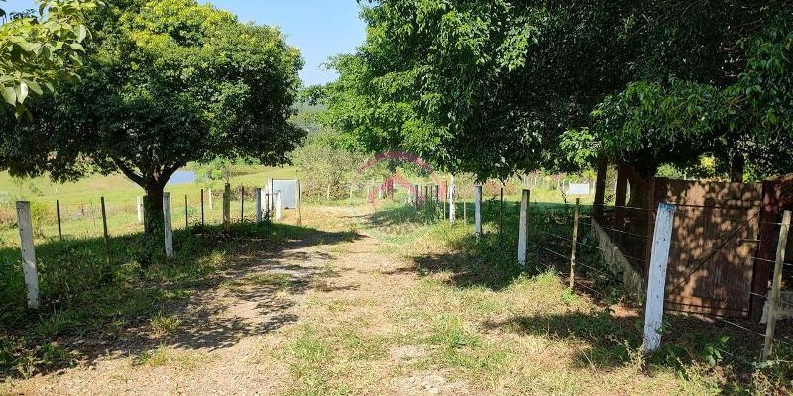 Chácara à Venda na Área Rural de Bofete SP - Foto 8 de 20
