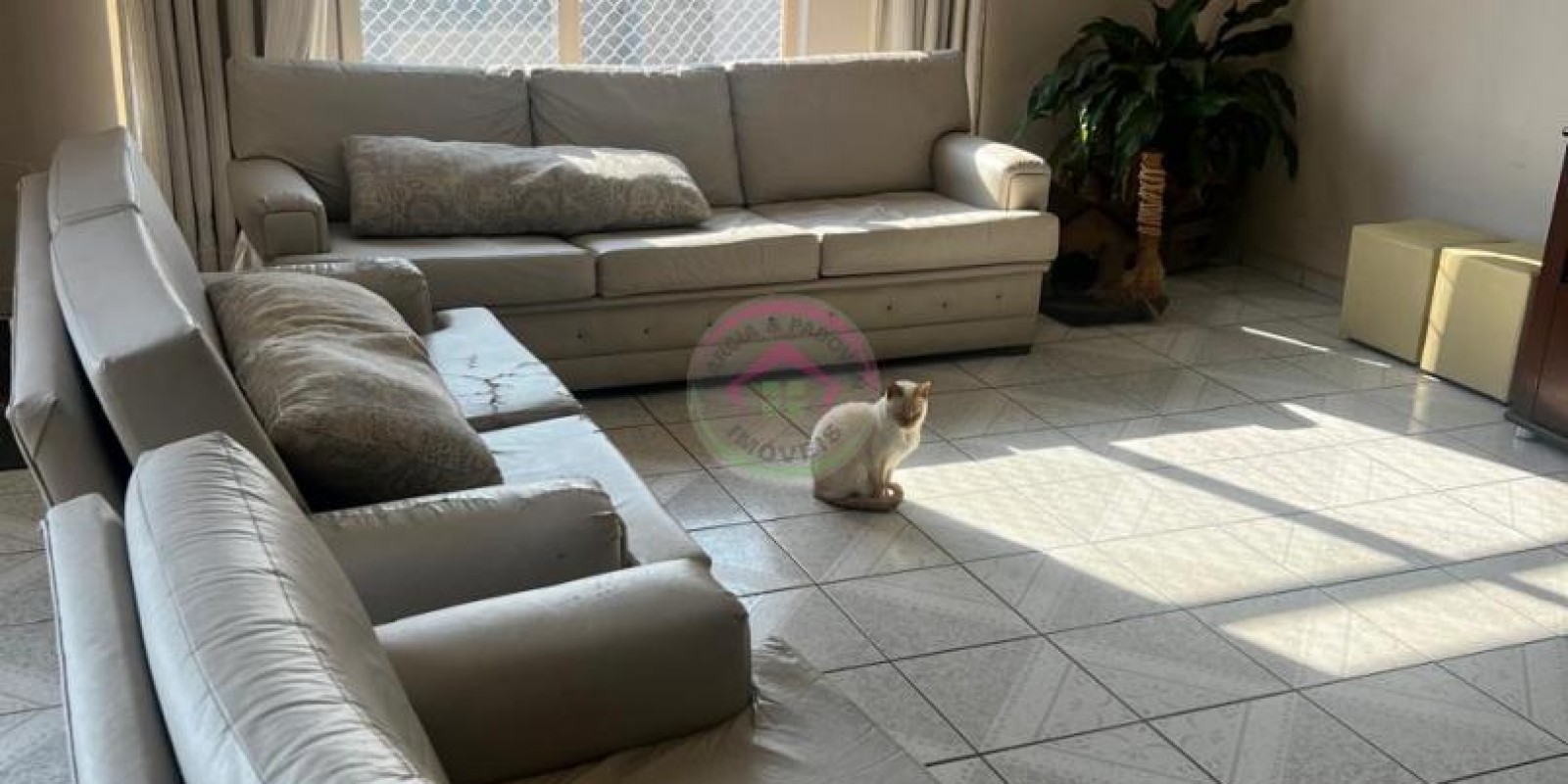 Vende se  Casa no Centro de Botucatu SP - Foto 18 de 21