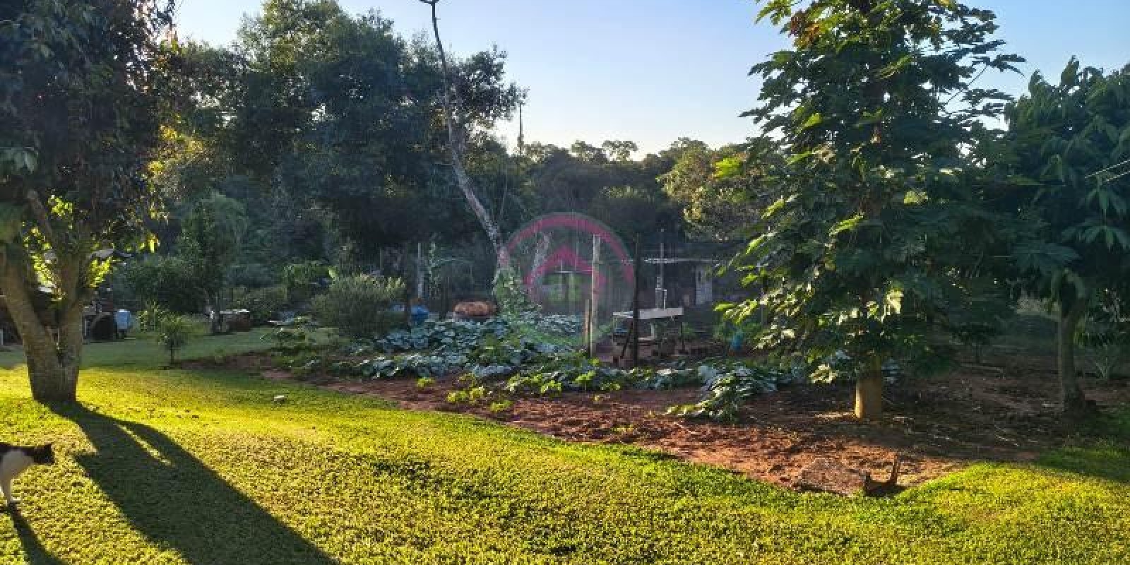 Vende-se Área Rural em Pardinho SP - Foto 10 de 31