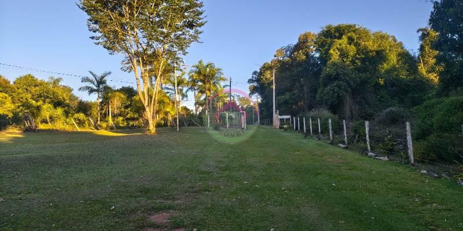 Vende-se Área Rural em Pardinho SP - Foto 11 de 31