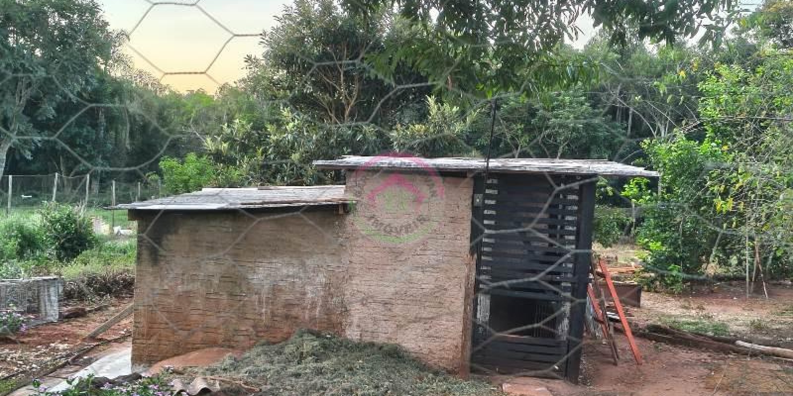 Vende-se Área Rural em Pardinho SP - Foto 15 de 31