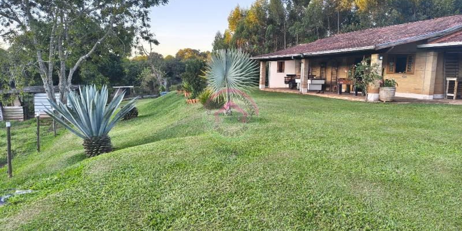 Vende-se Área Rural em Pardinho SP - Foto 17 de 31