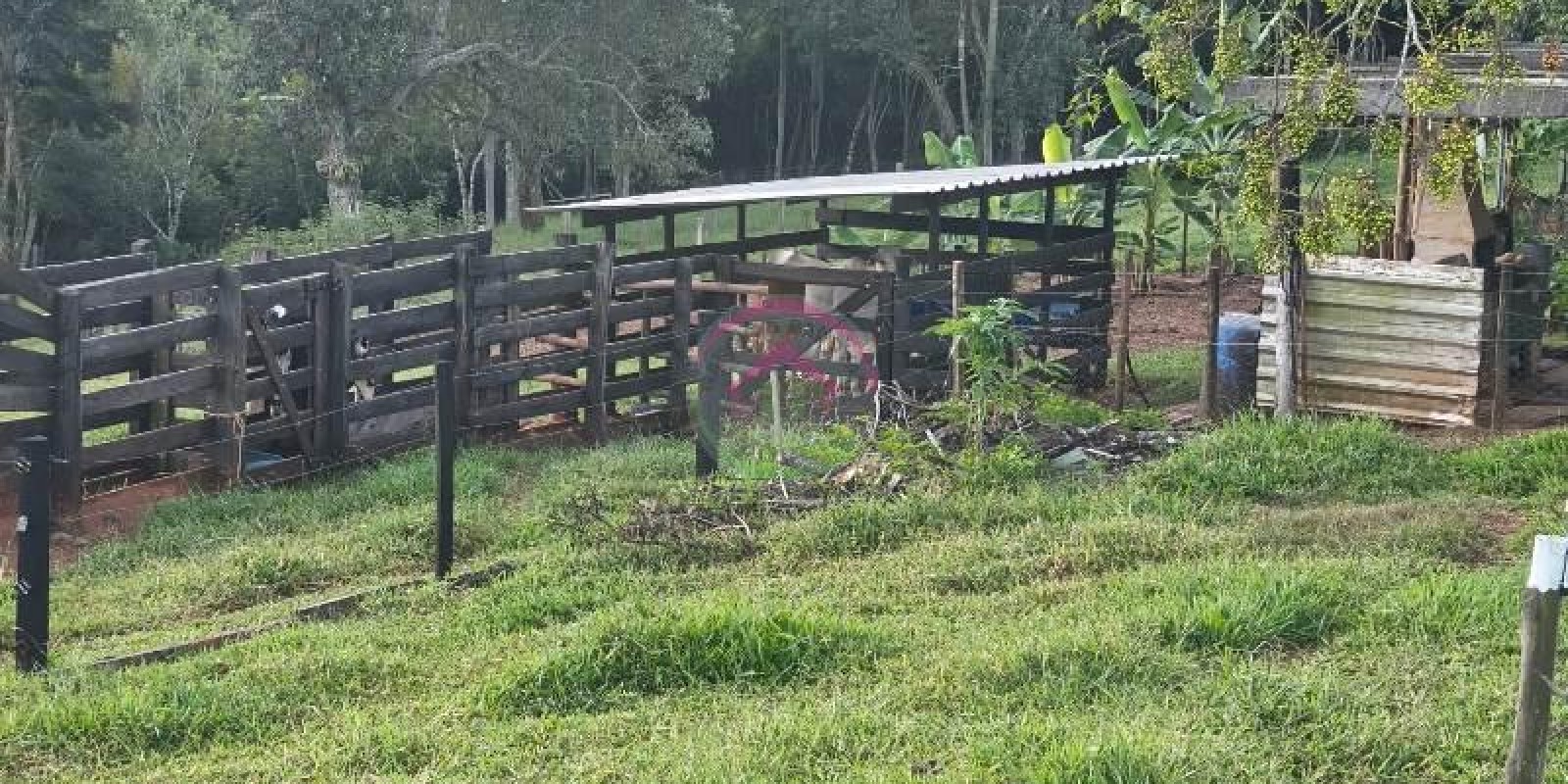 Vende-se Área Rural em Pardinho SP - Foto 18 de 31