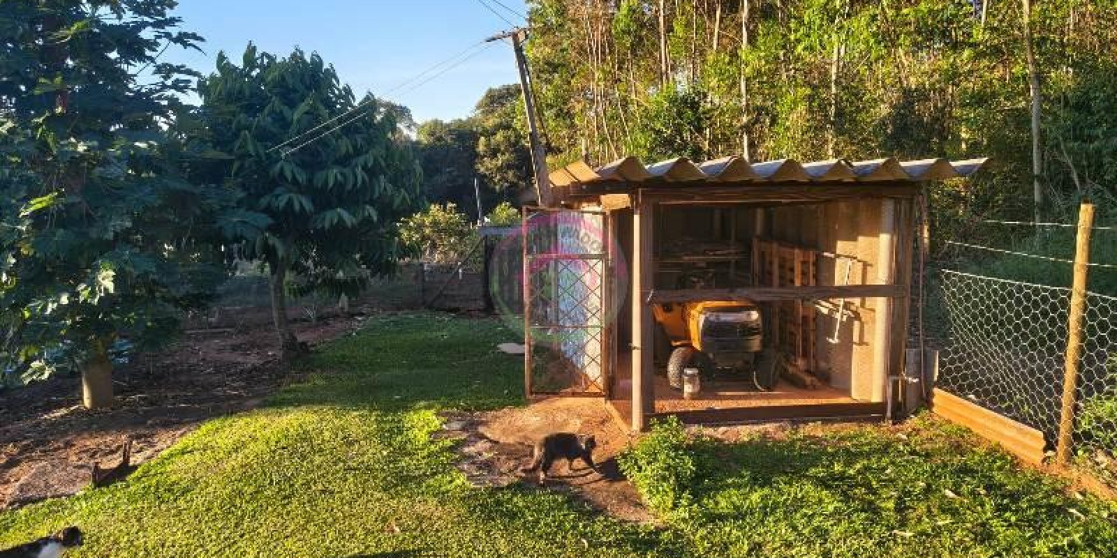 Vende-se Área Rural em Pardinho SP - Foto 9 de 31