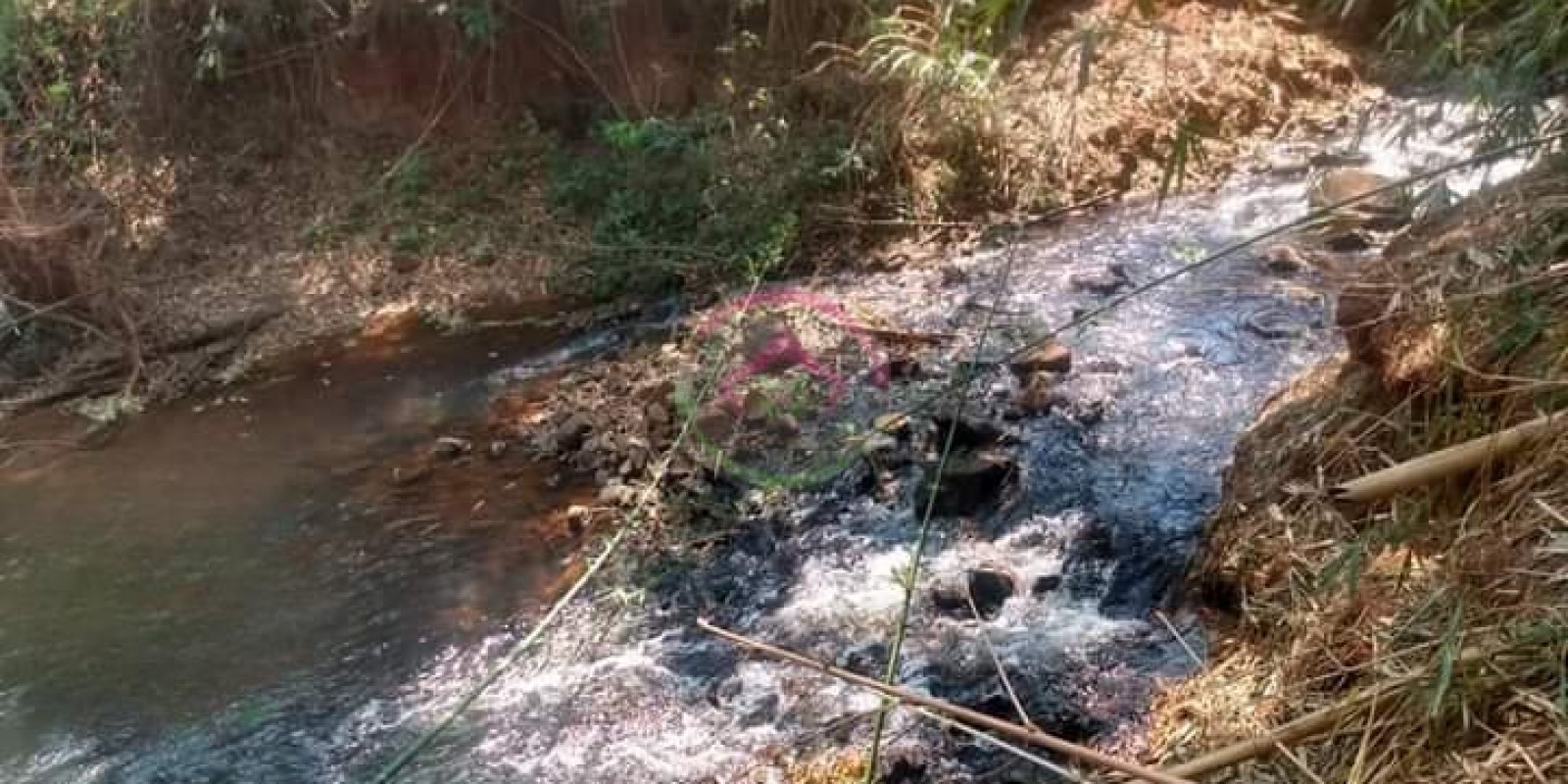 Excelente Oportunidade de Compra 22.800 m2 - Entre São Manuel e Pratânia - SP Excelente Oportunidade de Compra 22.800 m2 - Entre São Manuel e Pratânia - SP