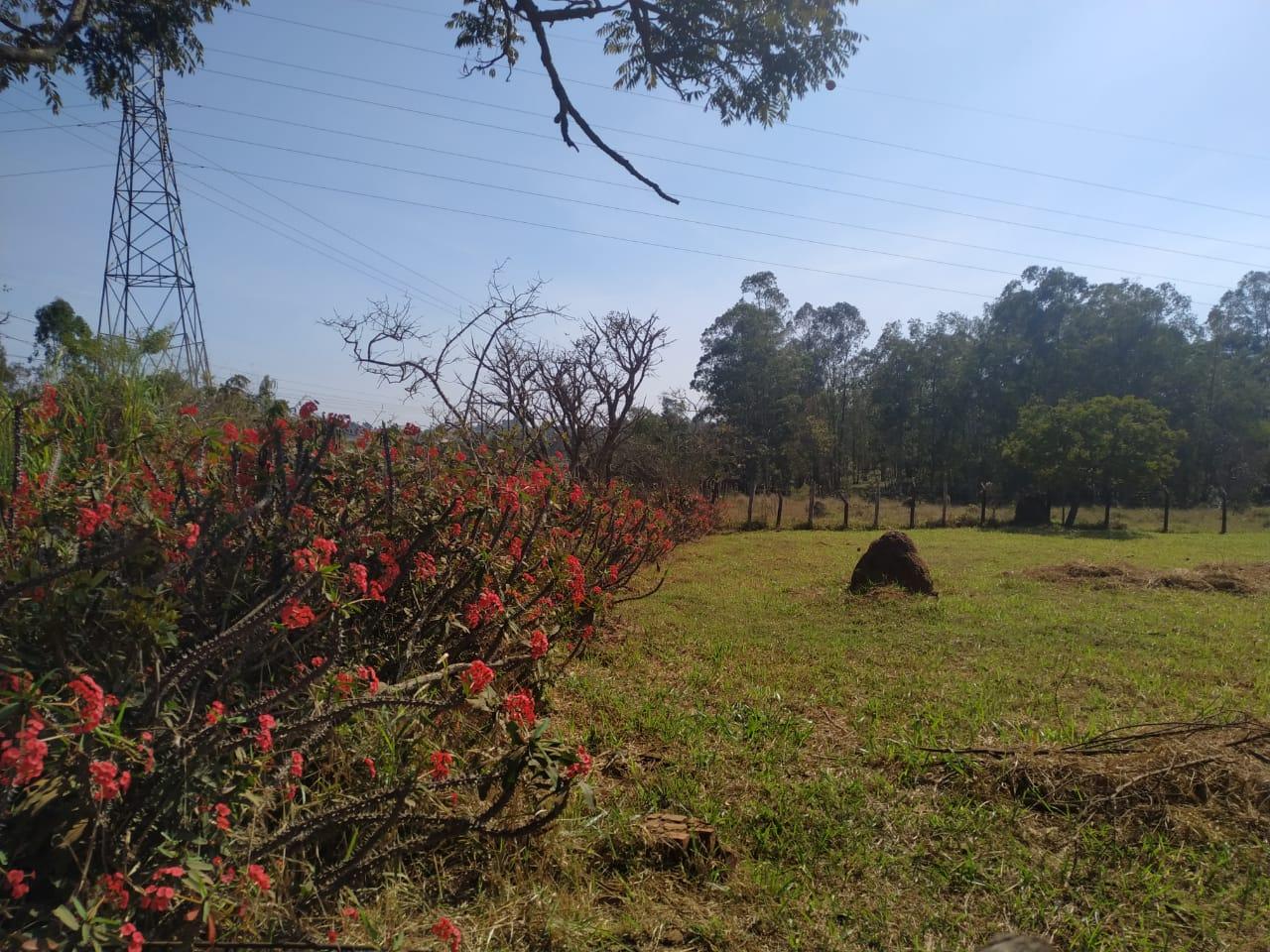 Vende se Chácara no Greenvalle em Botucatu SP - Botucatu