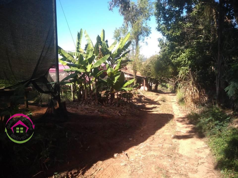 Foto 20