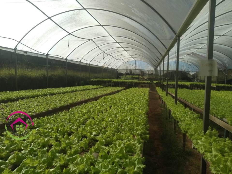 Chácara hidropônica em Botucatu SP - Botucatu