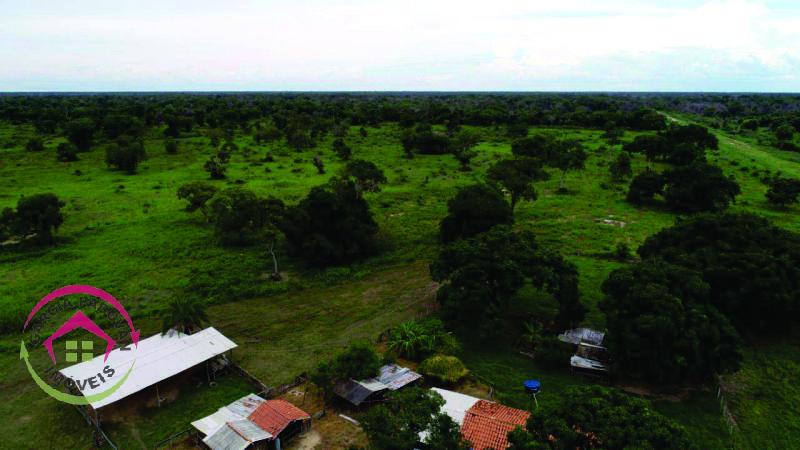 Excelente fazenda de 10828 hectares, Dupla aptidão, mais voltada para pecuária - Botucatu
