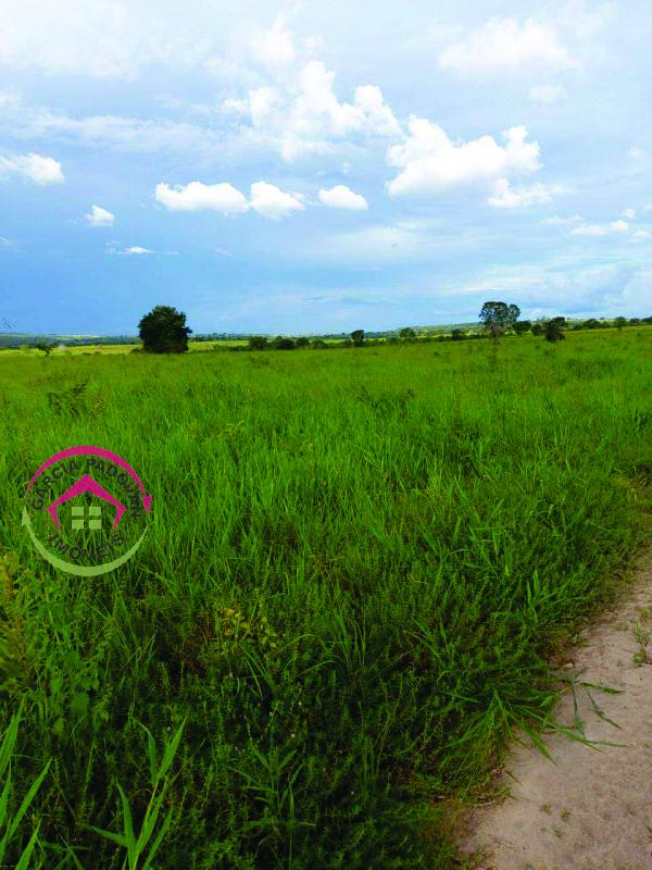 Fazenda de 3057 hectares em General Carneiro – MT - General Carneiro