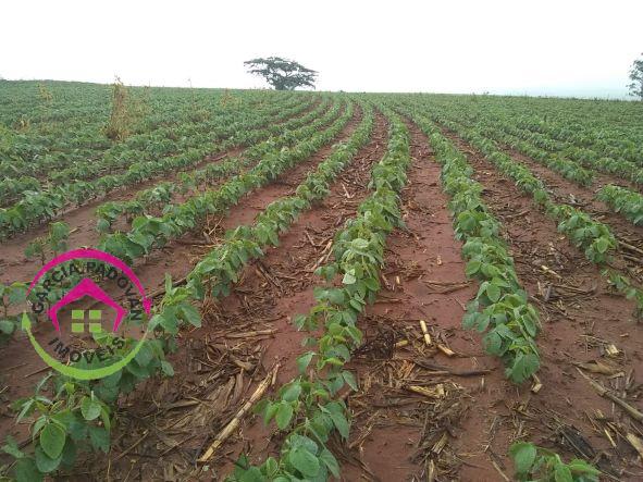 Fazenda a Venda em Echaporã SP - 275 Alqueires Paulista - Echaporã