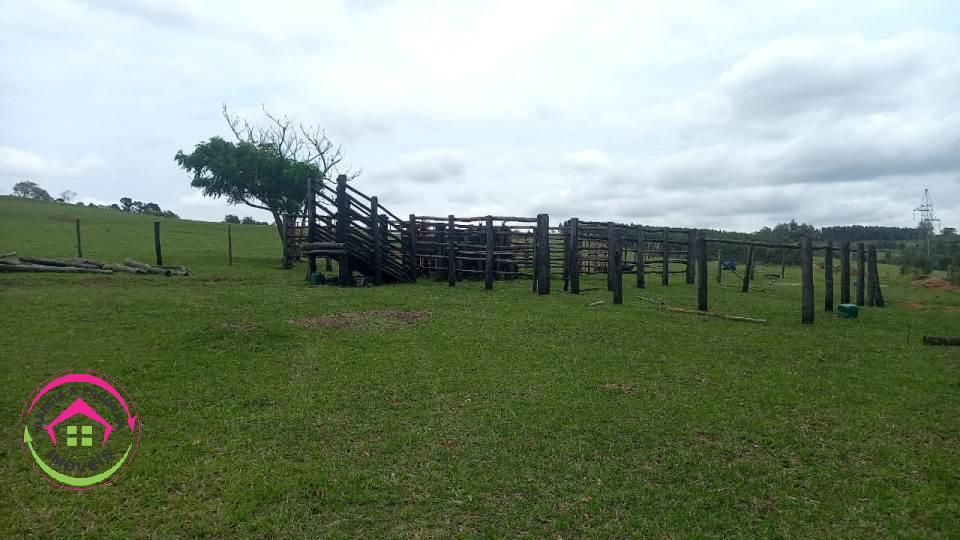 Sítio à Venda - Ótima localização - São Manuel -SP  - São Manuel