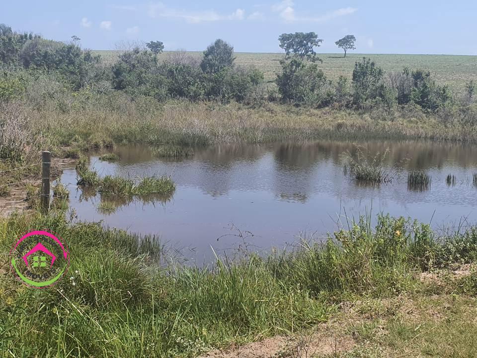 Fazenda no Município de Itatinga - SP - Itatinga