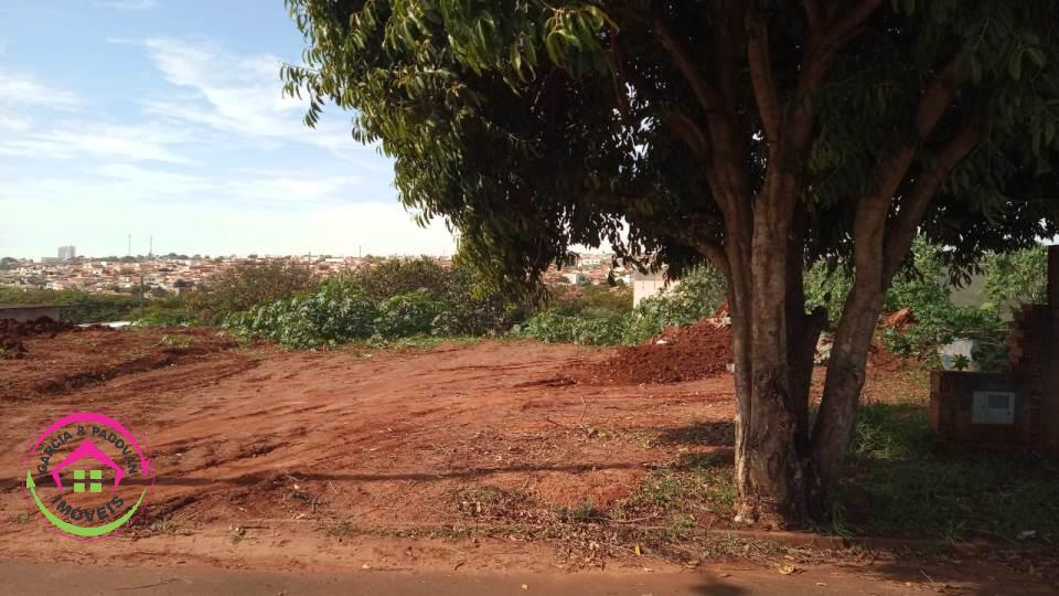 Vende Terreno na Avenida do Jd. Cambuí - Botucatu - SP - Botucatu