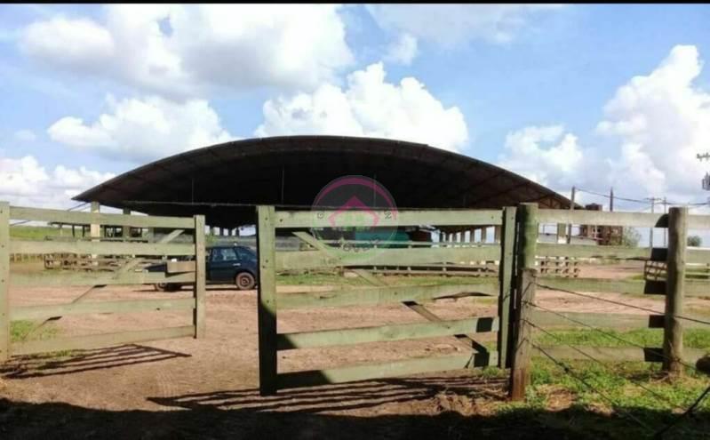 Fazenda Dupla Aptidão: Cana e Pecuária - Lençóis Paulista SP - Lençóis Paulista