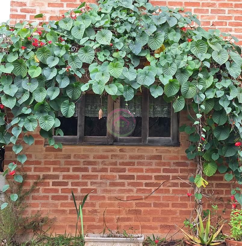 Casa Rústica à Venda na Demétria em Botucatu SP  - Botucatu